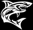 Shark Fights